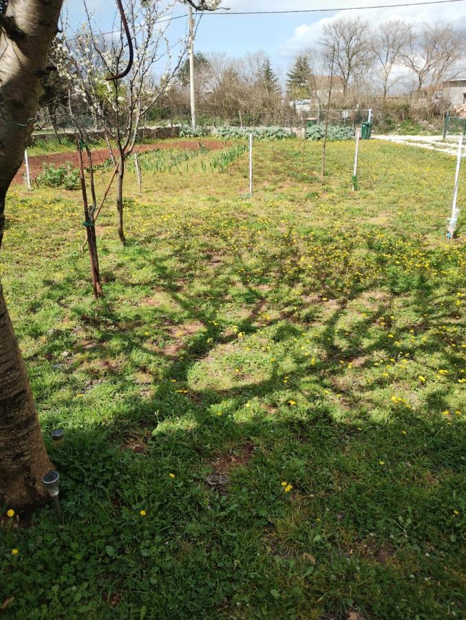 Apartman Enia Murvica  Zewnętrze zdjęcie