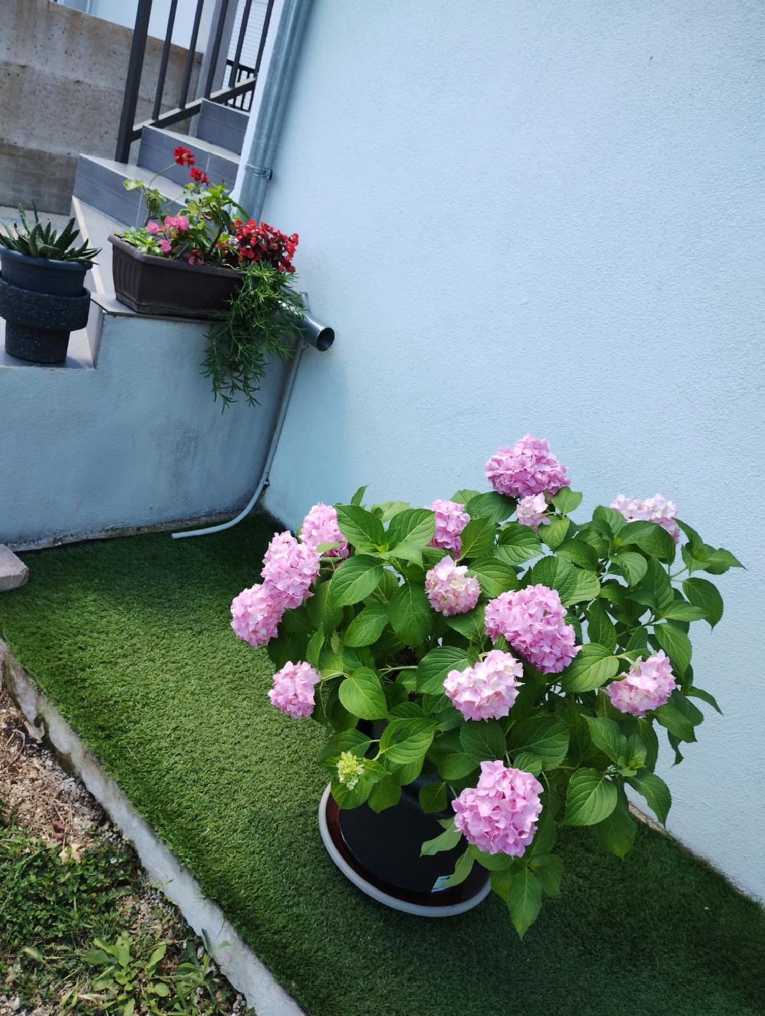 Apartman Enia Murvica  Pokój zdjęcie